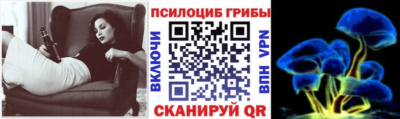 купить закладку  Чаплыгин  Псилоцибиновые грибы Psilocybe 